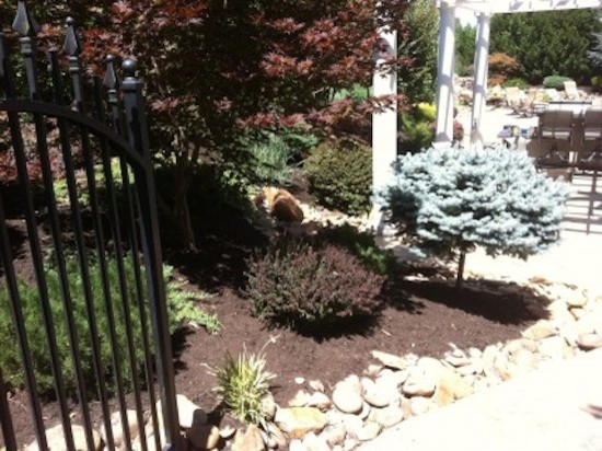 Inspiration for a mid-sized transitional full sun backyard landscaping for spring.