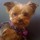 maryjo_rookard