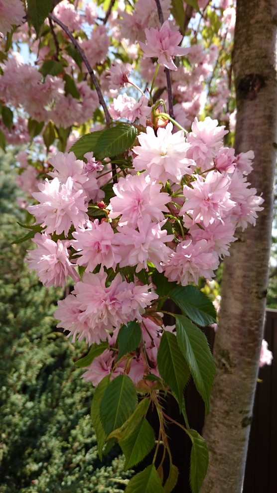 Участок на склоне