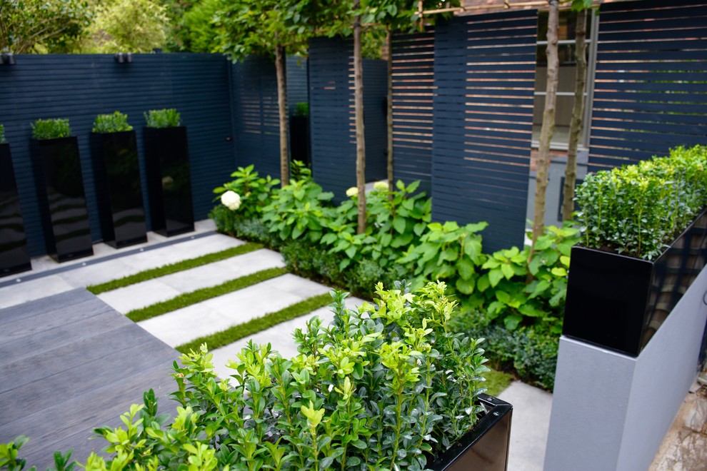 Small contemporary courtyard partial sun garden in London with concrete paving.