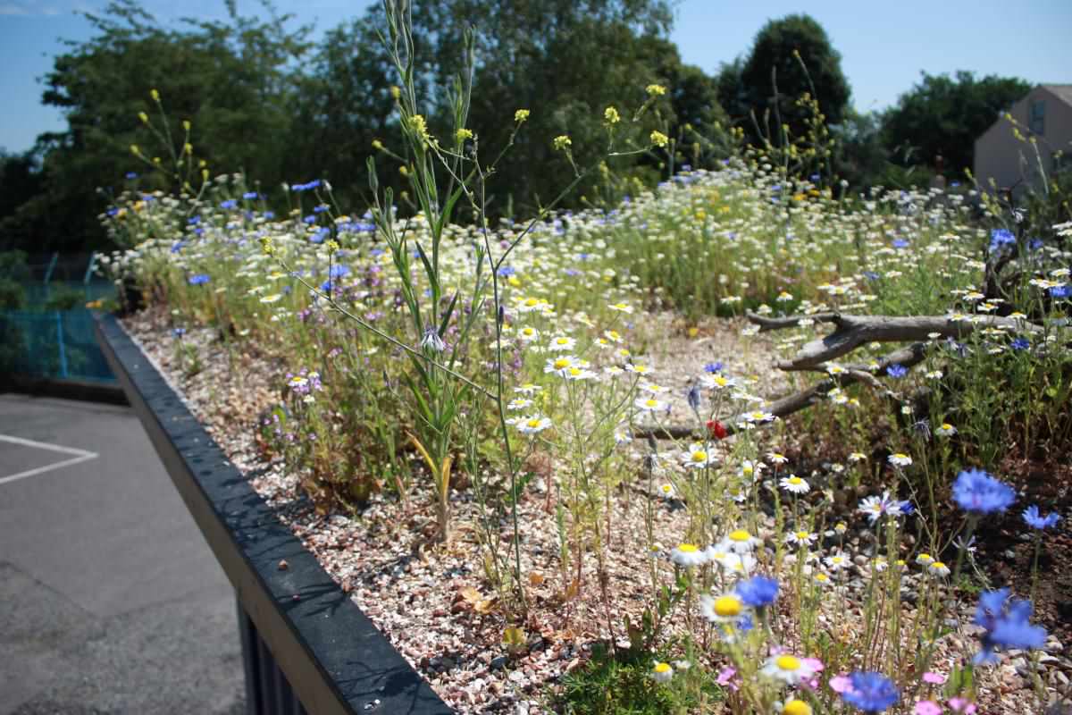 Ландшафтный дизайн