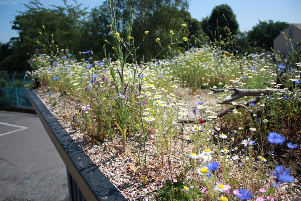 Ландшафтный дизайн