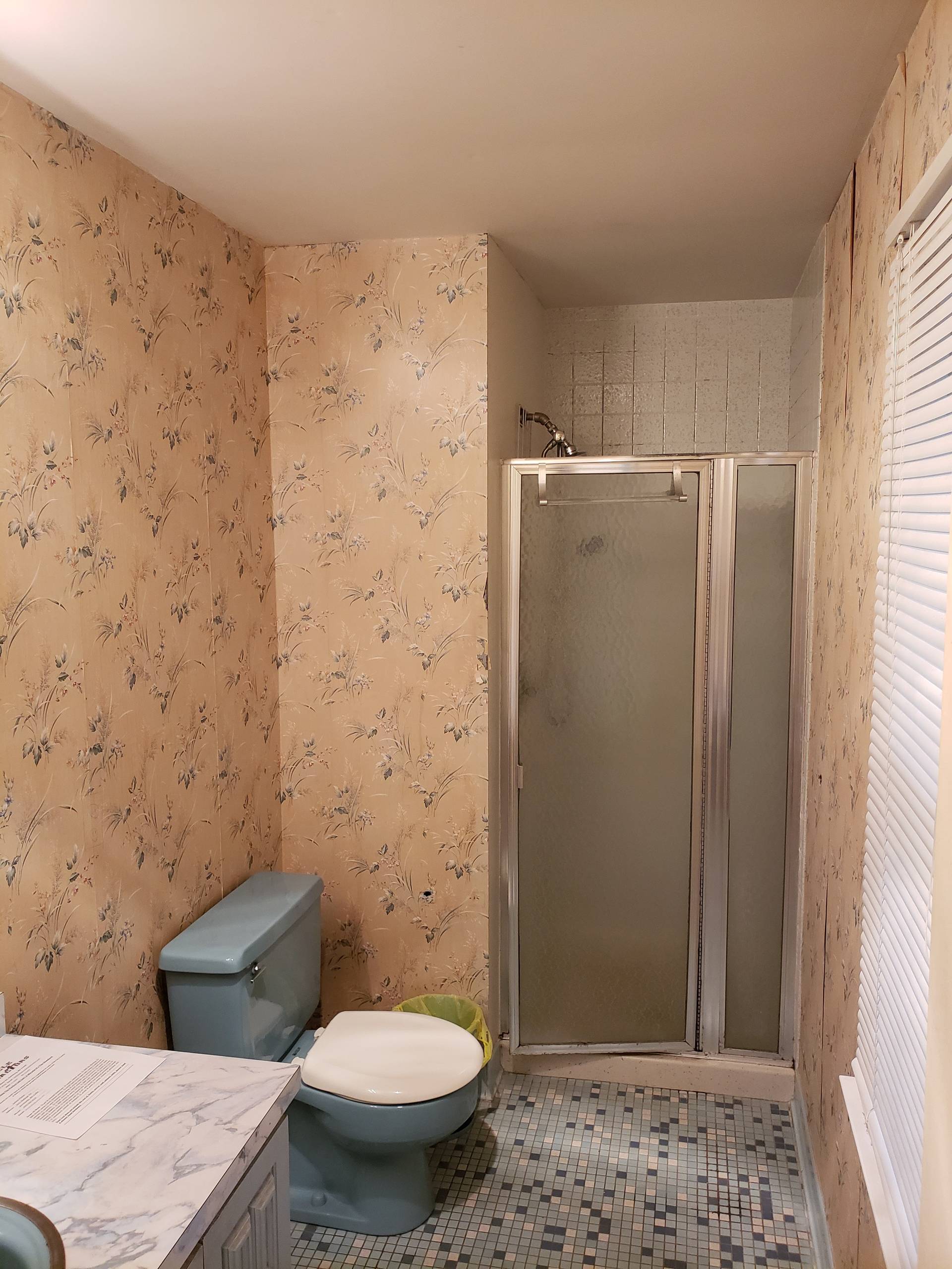 Before Pic of Complete Bathroom Makeover - What a Difference!