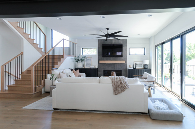 Modified Addison  |  Downtown Naperville, IL modern-living-room