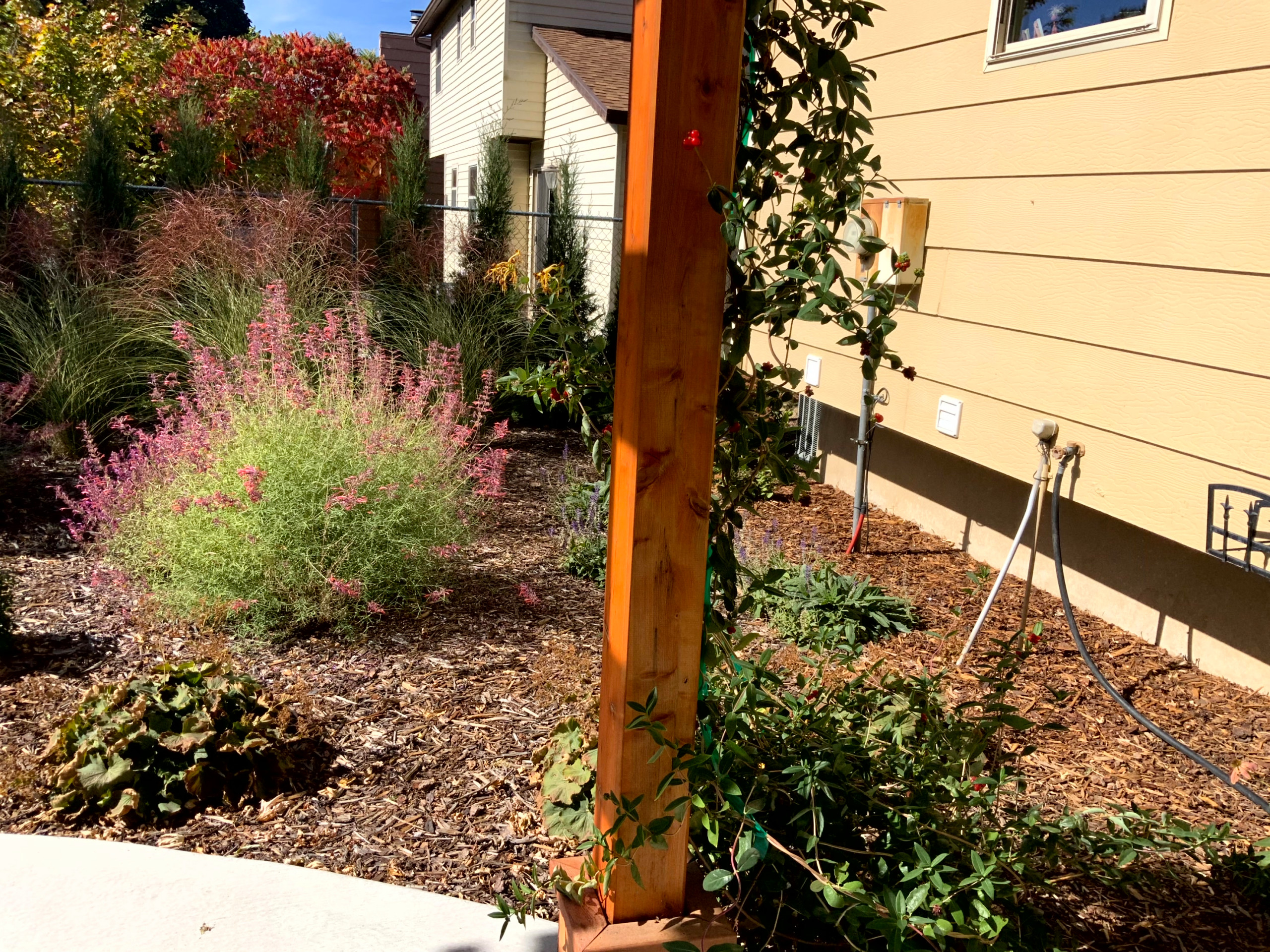 Pollinator Garden