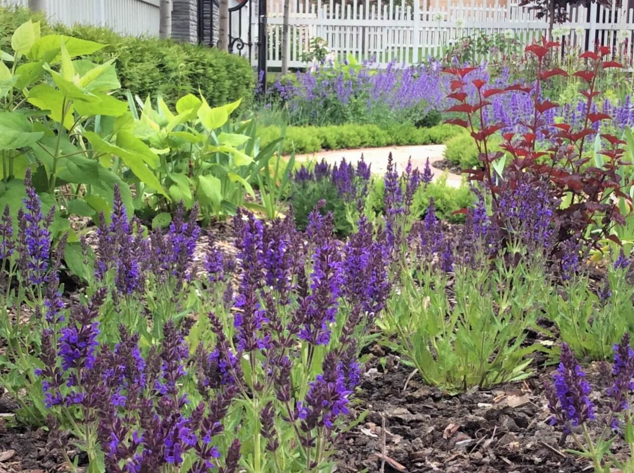 ПОЛЕТ ШМЕЛЯ