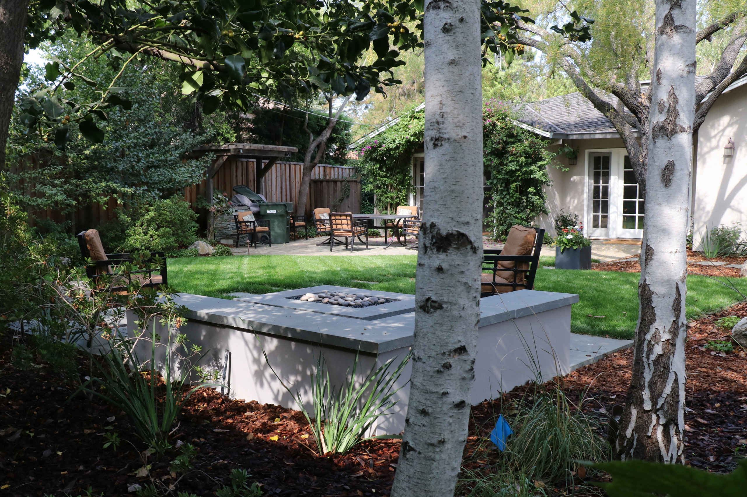 SWEDISH FLAME IN WOODS