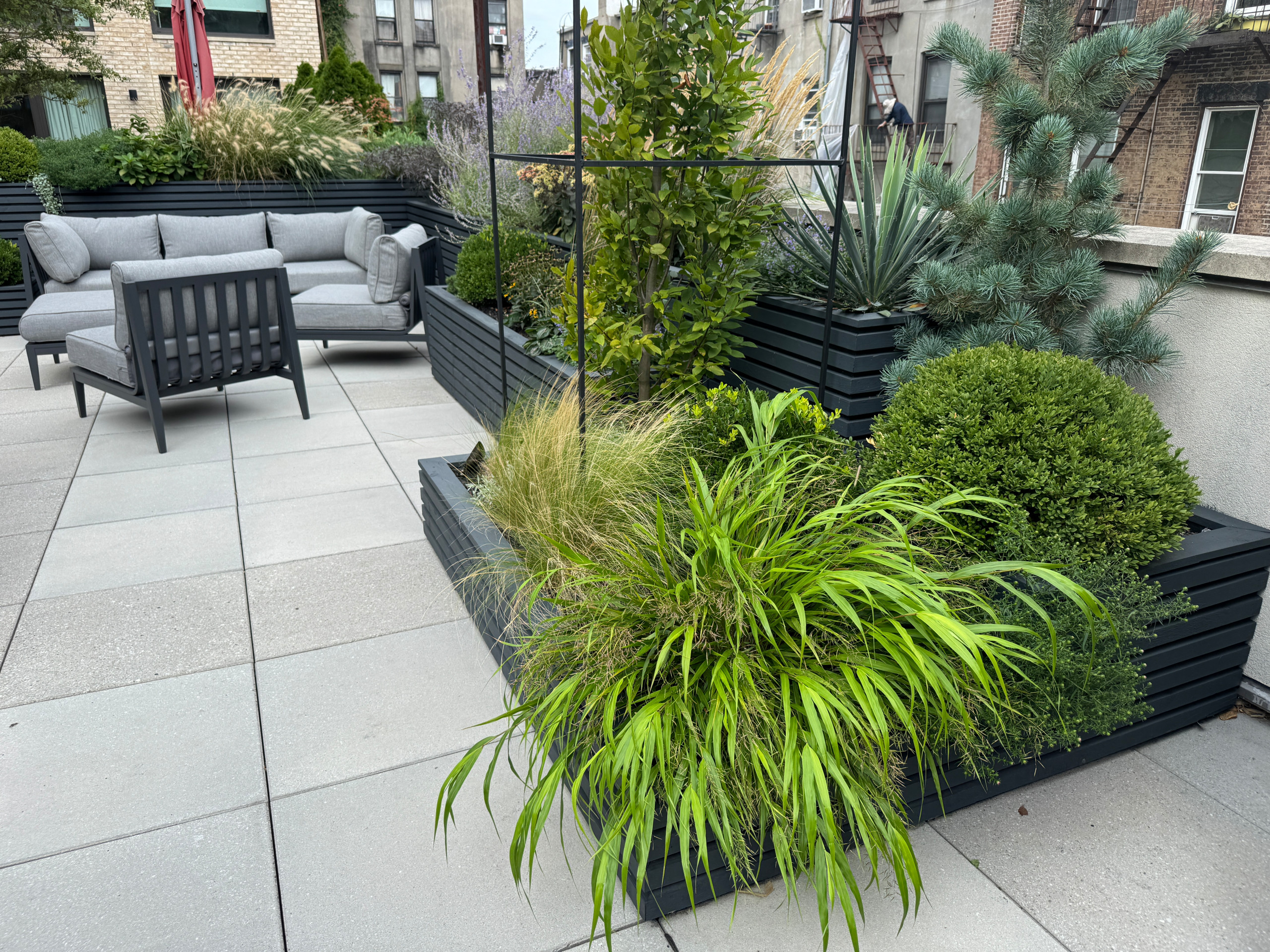 Carroll Gardens Rooftop Terrace