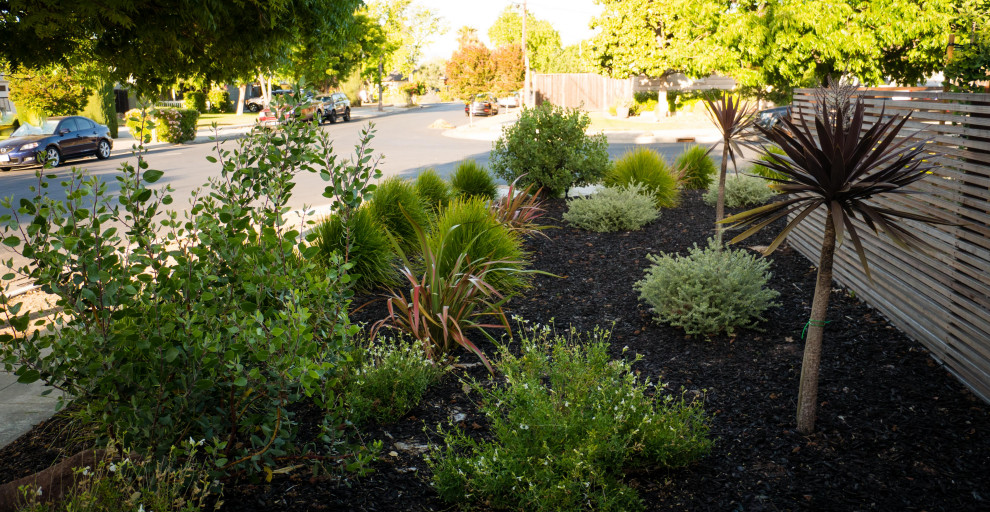 This is an example of a large contemporary drought-tolerant and privacy front yard wood fence landscaping in San Francisco.