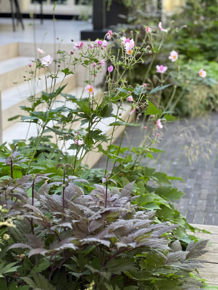 Английская история