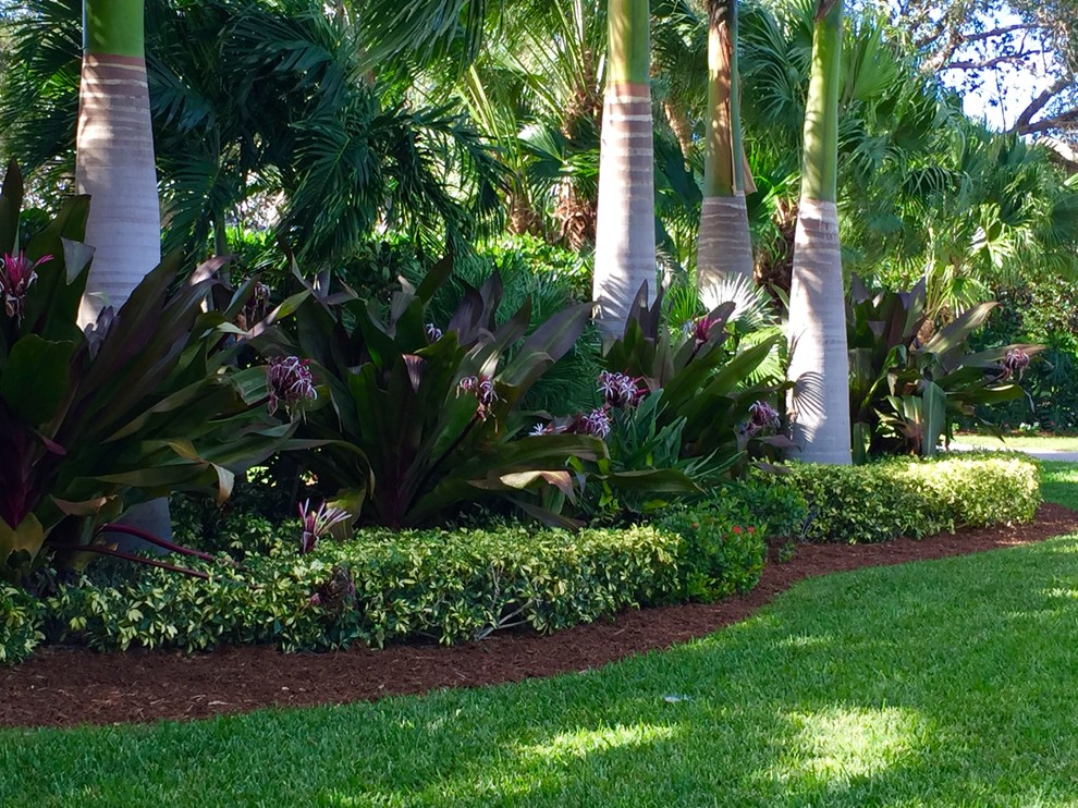 Large partial sun garden in Orlando for spring.