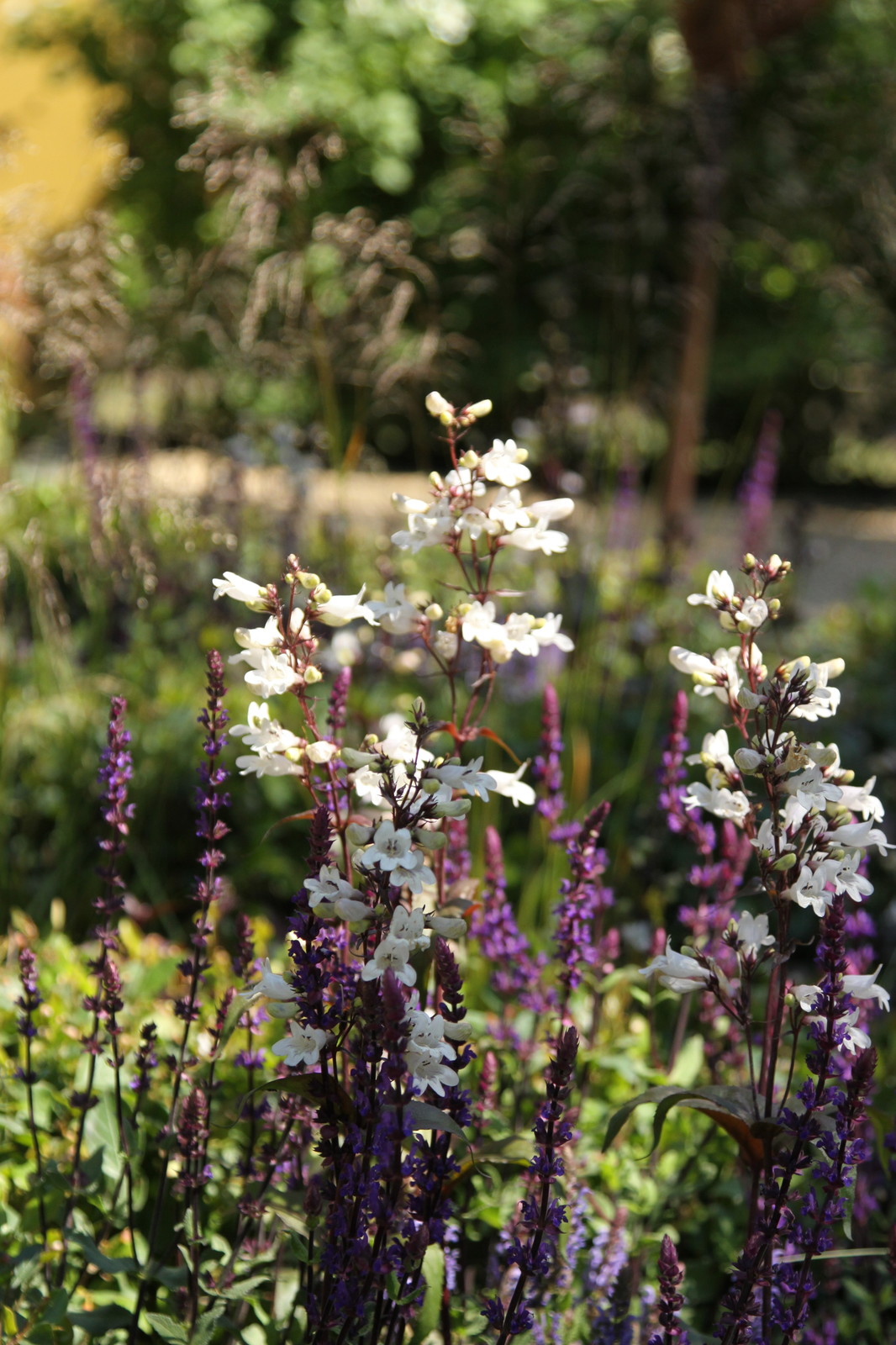 Выставочный сад "Азбука сада"