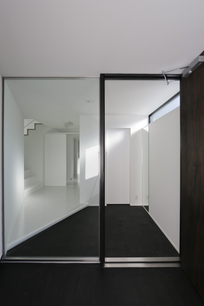 This is an example of a contemporary entryway in Tokyo.