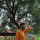 Ar Shreyas soni