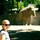 melissa_held65