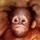 bryony_shaw