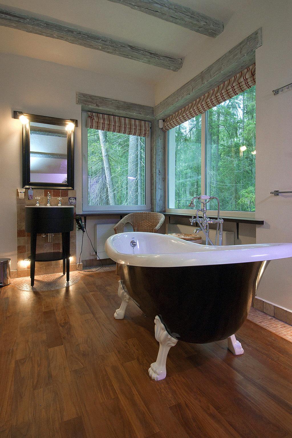 bathroom, dobrynya house