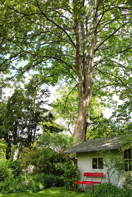 Moderner Garten in Berlin