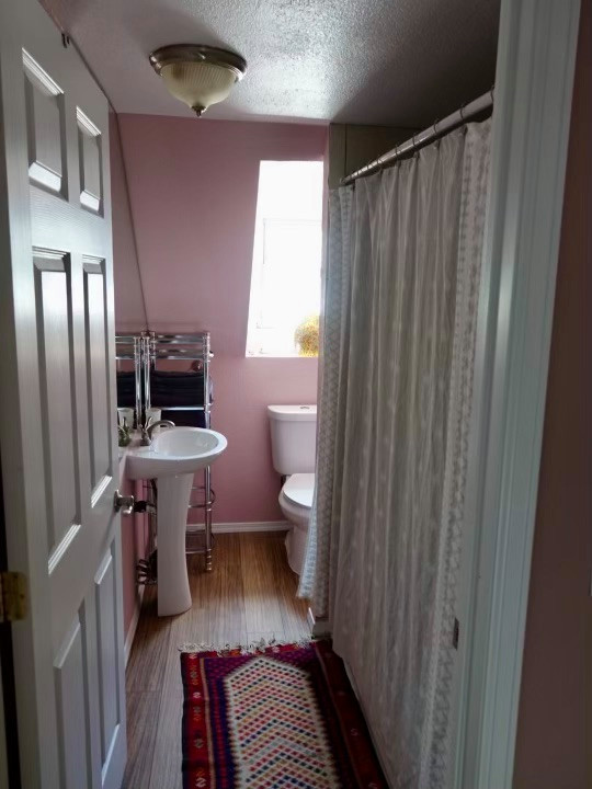 Emergency Mold Mitigation Rainbow House Repaint