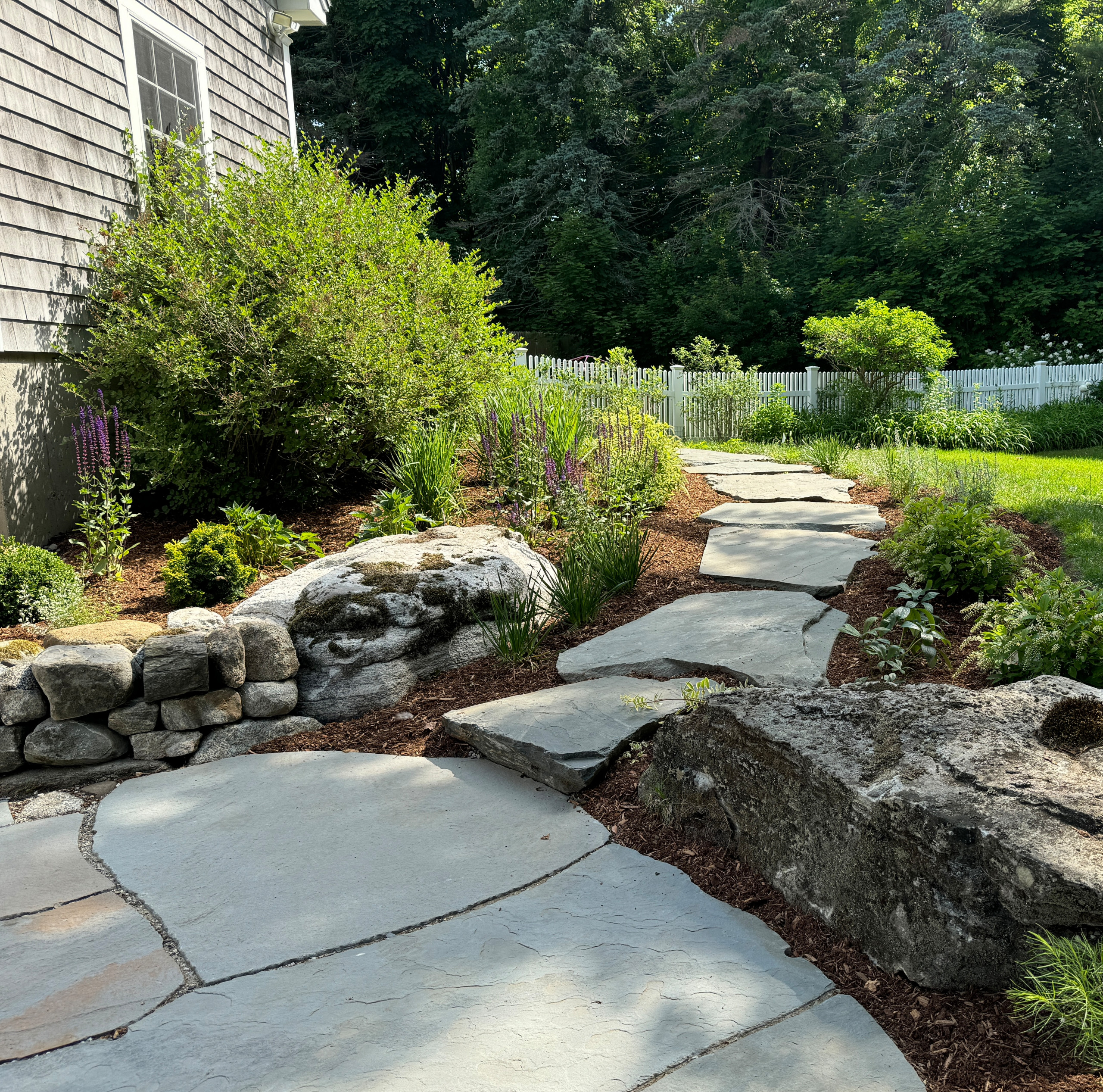 Cape Elizabeth Native Plants