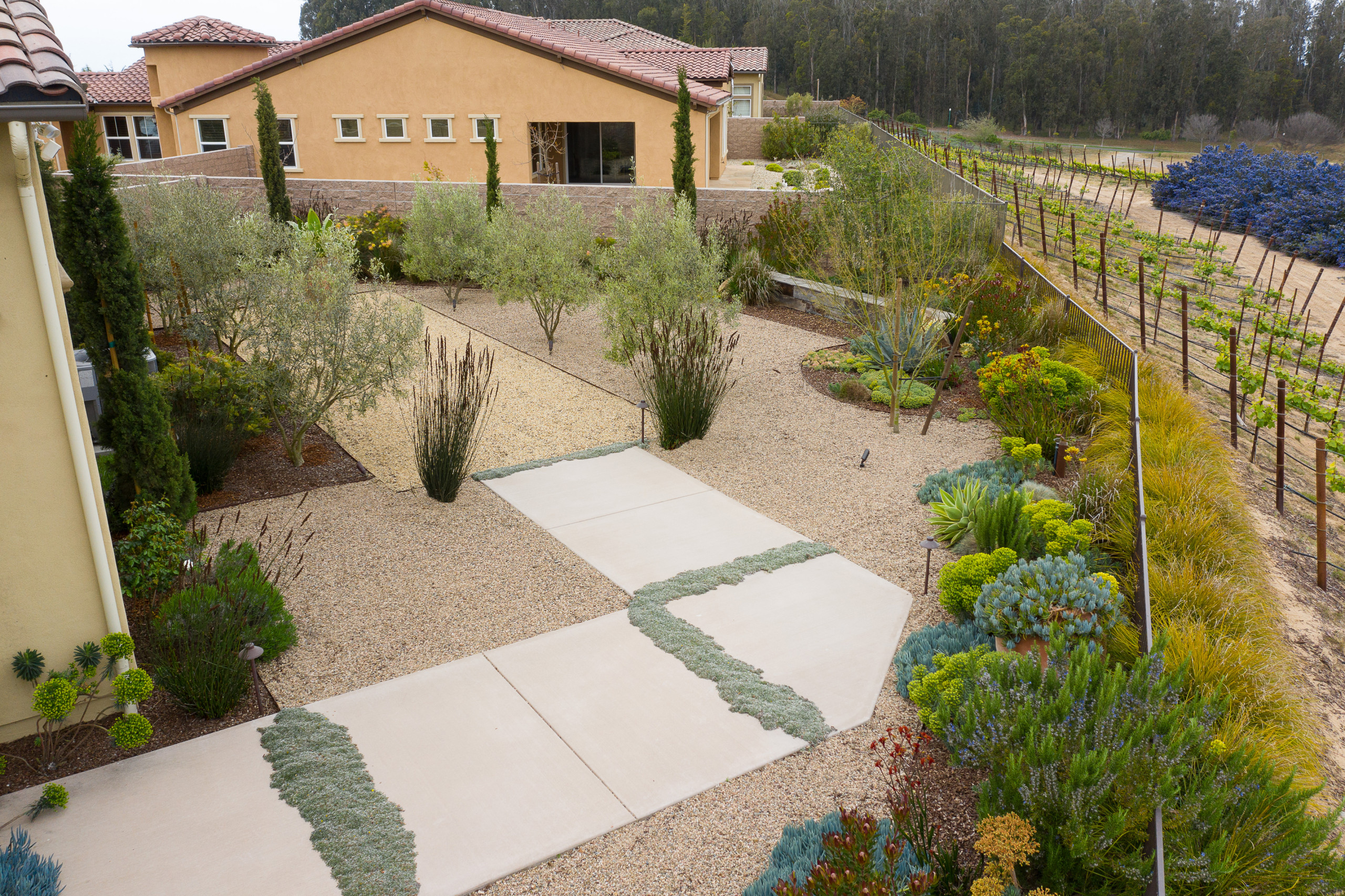 Trilogy Landscape and Outdoor Kitchen