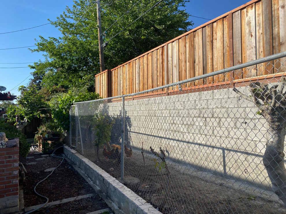 Photo of a modern landscaping in San Francisco.