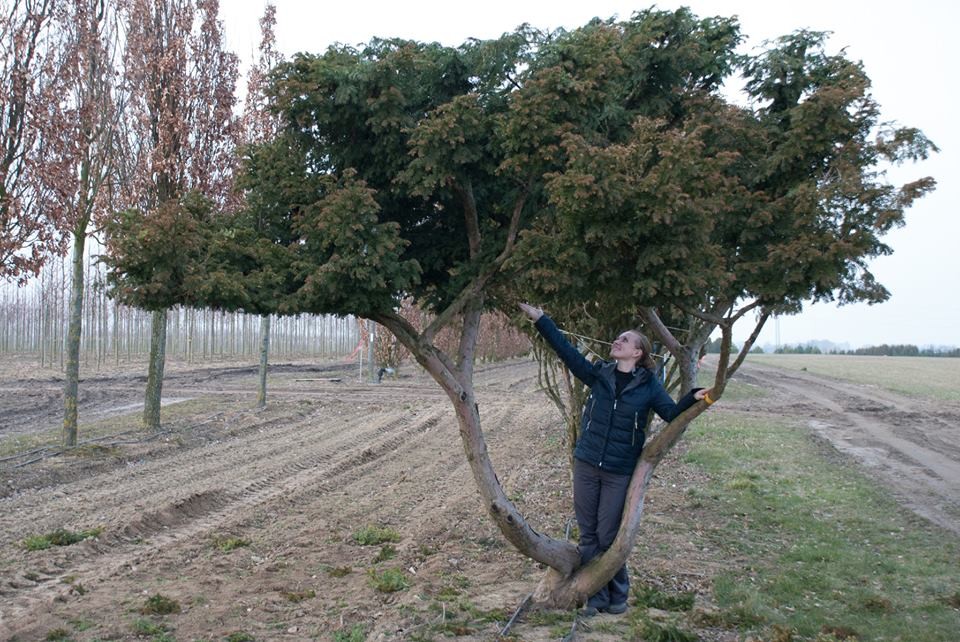 Русский сад - Челси 2016