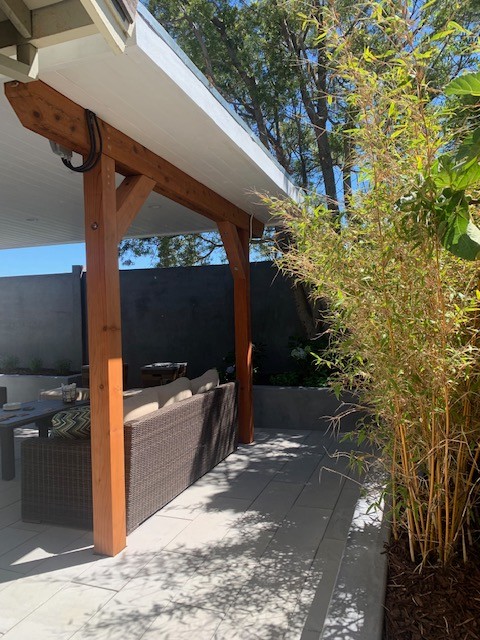 Backyard Remodel in Union City