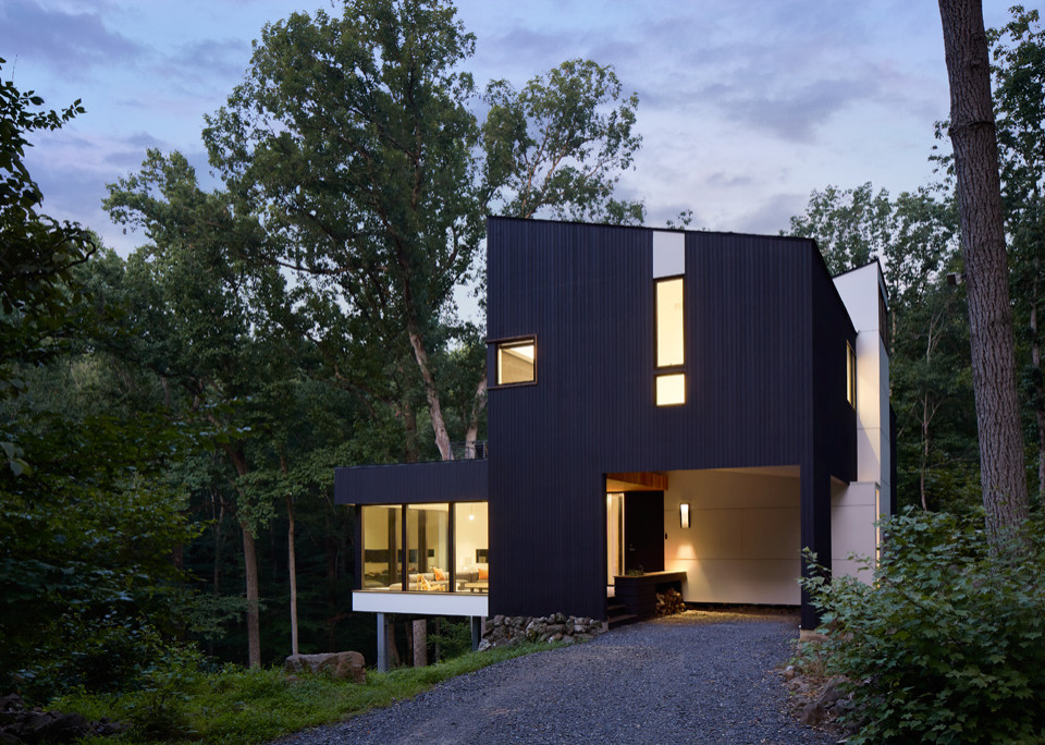 На фото: двухэтажный, деревянный, черный частный загородный дом среднего размера в стиле модернизм с односкатной крышей