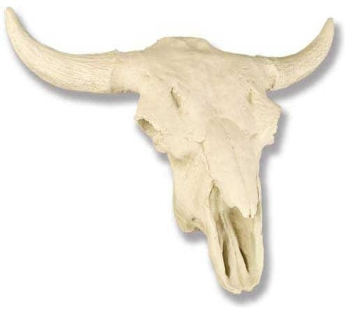 Cow Skull Garden Animal Statue