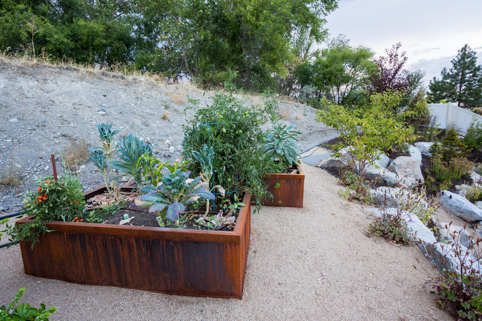 Photo of a small transitional backyard gravel vegetable garden landscape.