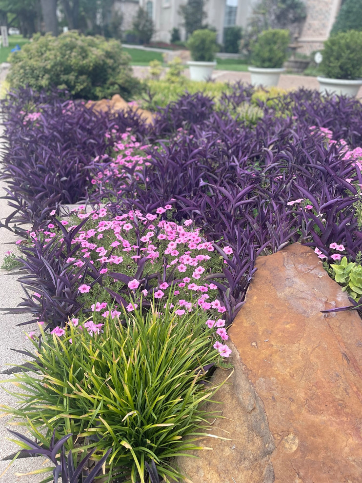 Dallas Residential Landscape