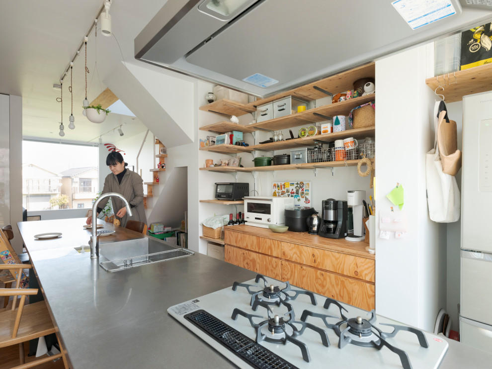 Kitchen - modern kitchen idea in Tokyo Suburbs