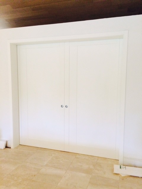 Modern Double Pocket Door in Matte White Finish trendy-dagligstue