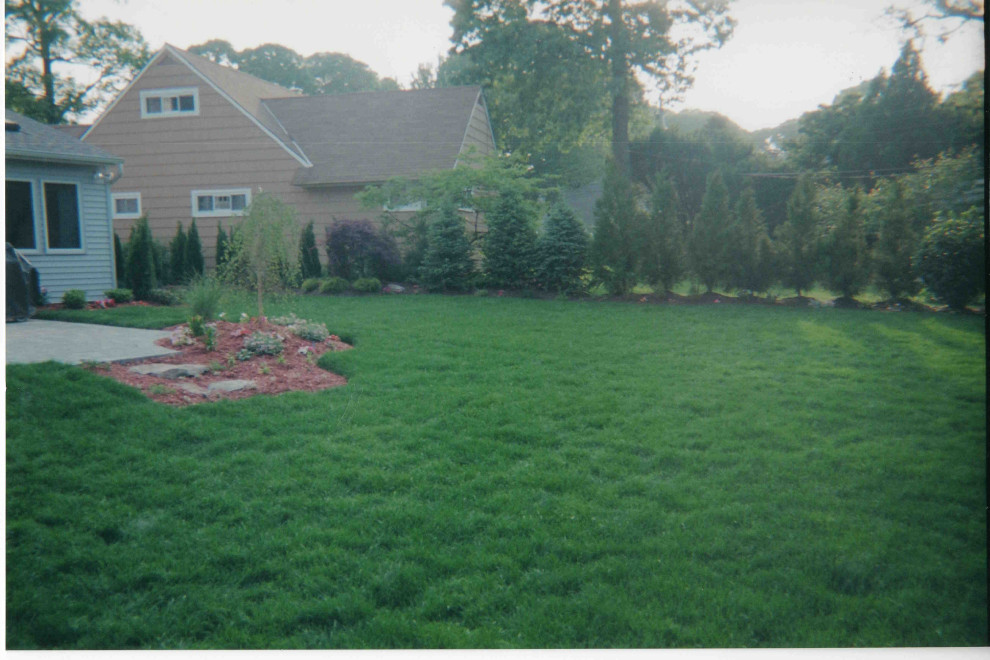 Backyard oasis and complete renovation