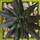 Last commented by greenerontheotherside_8a