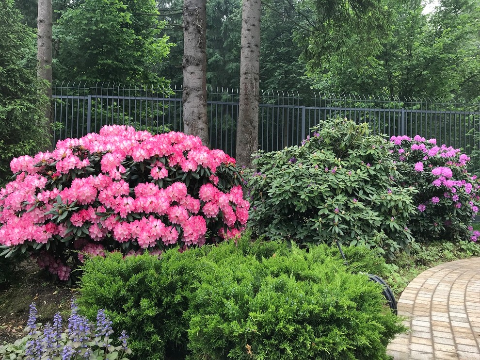 Современный ландшафтный дизайн.