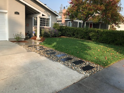 Residential Landscape - Front Lawn
