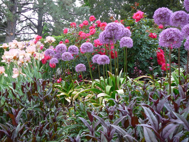 Residential american-traditional-garden