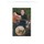 tom_bradfish