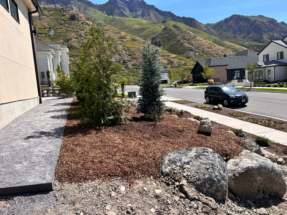 Alpine Landscape Build