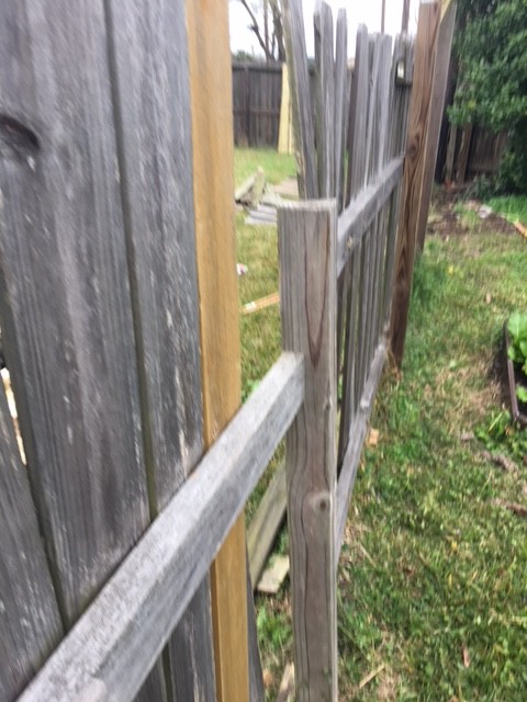 Fence (Wood) Repairs
