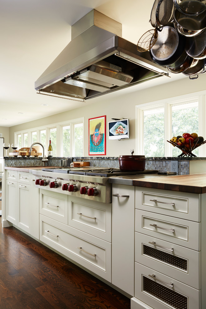 Kitchen - transitional kitchen idea in Minneapolis