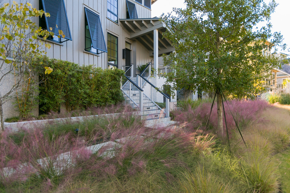 This is an example of a contemporary front yard garden in Charleston with a garden path.