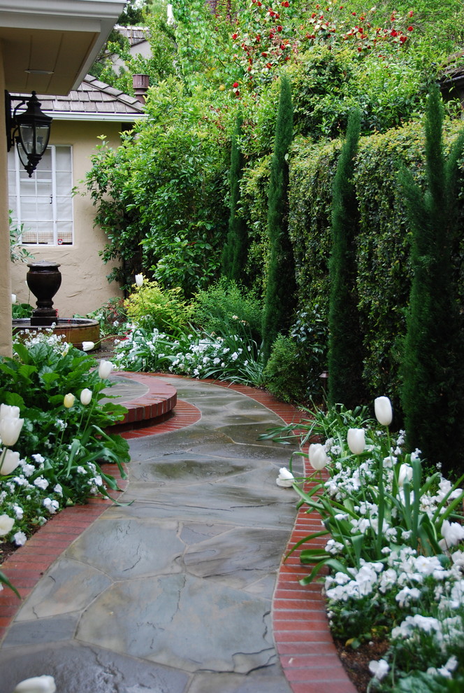 Photo of a traditional side yard garden in San Francisco.