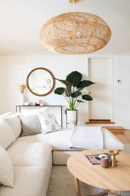 Contemporary Living Room contemporaneo-salon
