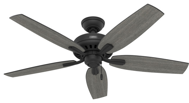 Hunter Black Ceiling Fannull