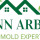 Ann Arbor Mold Remediation Solutions