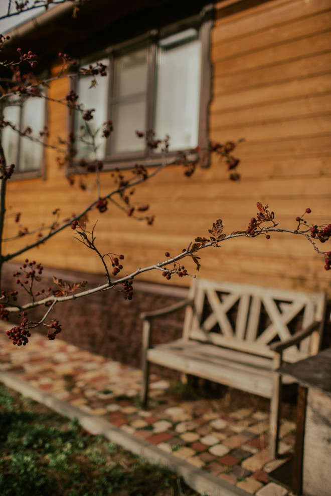 Осенний сад