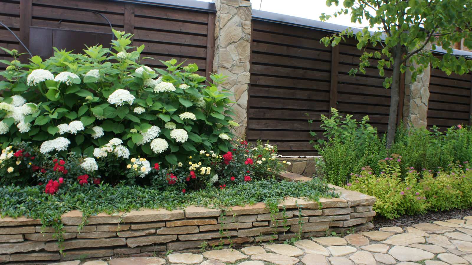 Прохорово лето 2017